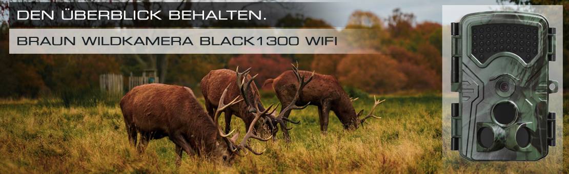 Dva jeleni na louce na podzim. Vpravo v obraze hnědá divoká kamera Black1300 Wifi. Text: Mít přehled.