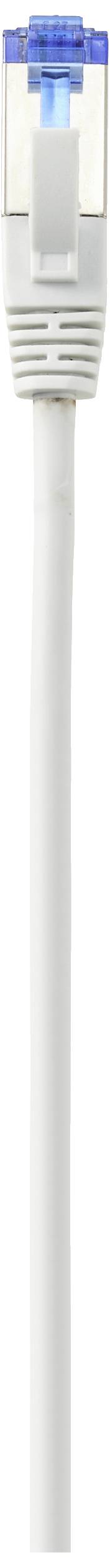 Bílý ethernetový síťový kabel s modrou plastovou krytkou na konektoru, používaný pro připojení v počítačových sítích.