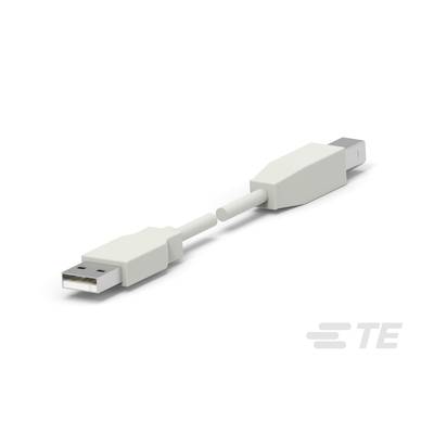 Šedý prodlužovací USB kabel se dvěma USB konektory na světlém pozadí.