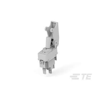 Šedý polohový spínač zobrazený z bočního pohledu s pákovým mechanismem. Označený štítkem 'TE'.