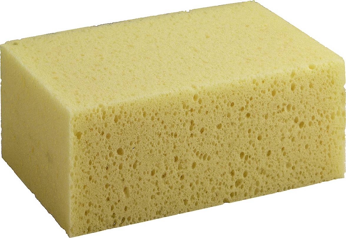 Žlutá obdélníková houba s pórovitým povrchem.