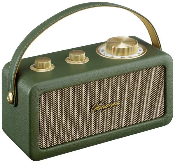 Sangean RA-101 A500523 Akumulátorové rádio, FM, Bluetooth, AUX, s akumulátorem, zelená, zlatá