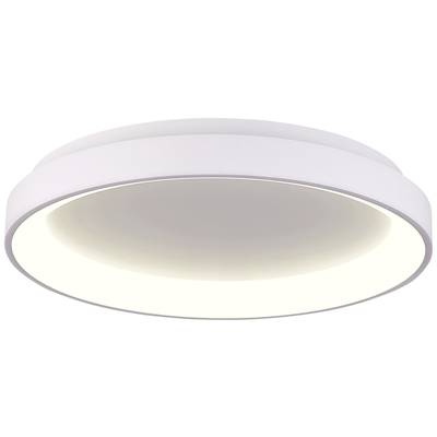 Deko Light Merope Stropní svítidlo  LED pevně vestavěné LED 30 W Energetická třída (EEK2021): E (A - G) teplá bílá, neut