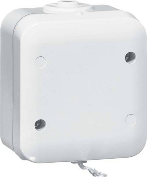 PEHA by Honeywell  kompletní sada tažný spínač  šedá 387621 1 ks