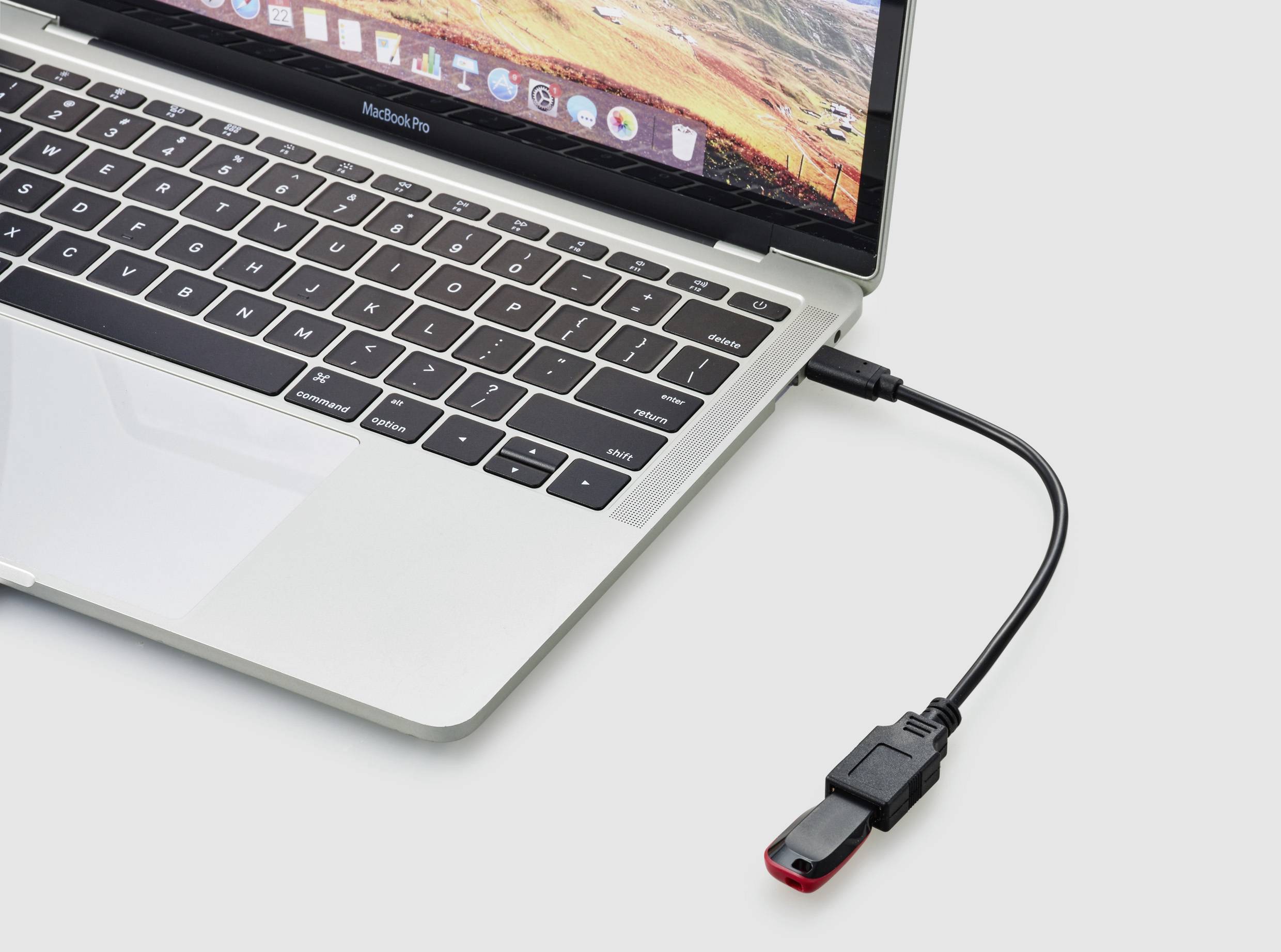 Notebook s připojenou USB jednotkou přes adaptérový kabel. Na obrazovce je zobrazen krajinný výjev.