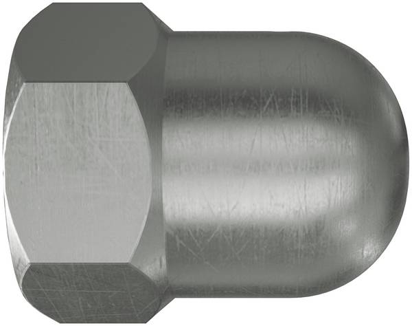 Fischer FAZ II Plus M10 R 569127 kloboučková matice M10      ocel nerezové 20 ks