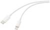Renkforce USB kabel USB 2.0 USB-C ® zástrčka, Apple Lightning konektor 1.00 m bílá (ledový vzor) RF-5724078