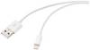 Renkforce USB kabel USB 2.0 USB-A zástrčka, Apple Lightning konektor 2.00 m bílá (ledový vzor) RF-5724086