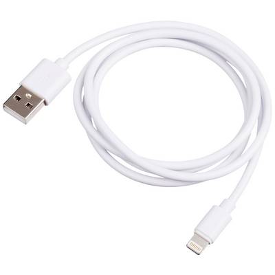 Bílý USB kabel s běžným USB konektorem na jedné straně a Lightning konektorem na straně druhé, svinutý do klubíčka.