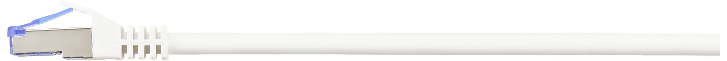 Bílý ethernetový kabel s modrým konektorem, který se používá pro síťová připojení.