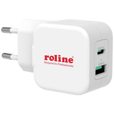Bílý Roline konektor s USB-C a USB-A porty. Text: 'Navrženo pro profesionály'.