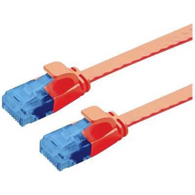 Dva červené ethernetové kabely s modrými konektory, položené vedle sebe. Jsou připraveny k propojení síťových zařízení.
