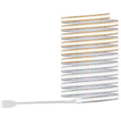 LED světelný pásek se střídavými teplými bílými a studenými bílými LED diodami. Pásek je flexibilní a má připojovací konektor.