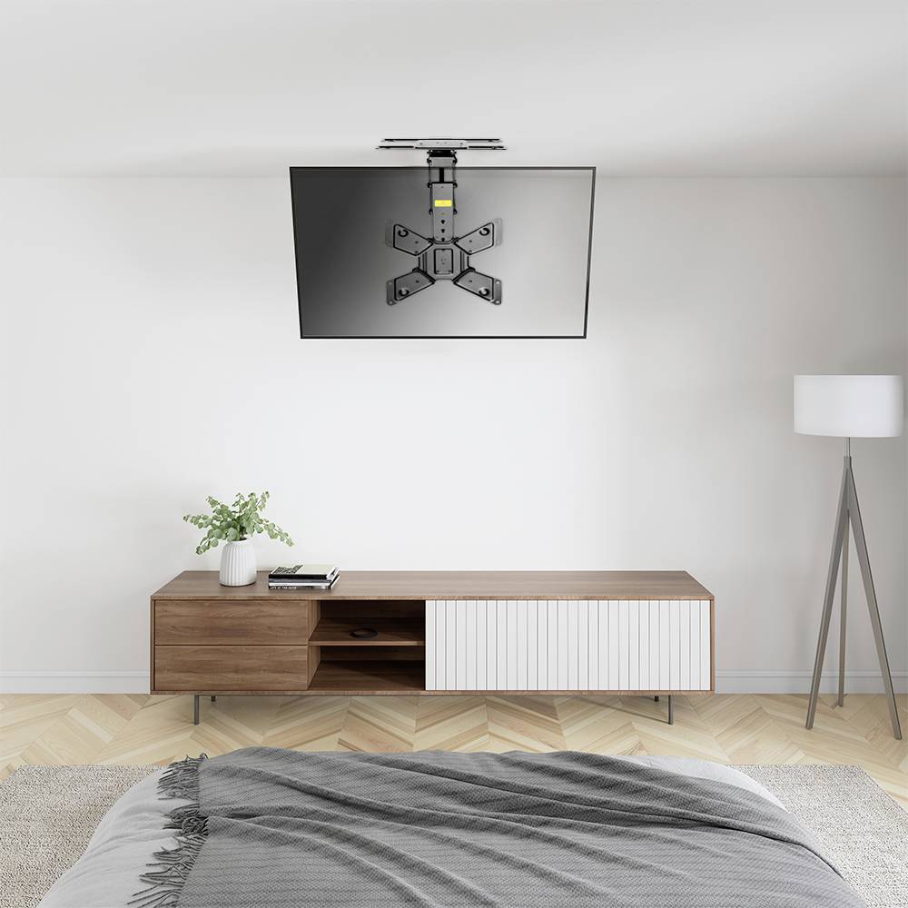 Televizor je zavěšen na stropě. Pod ním stojí moderní komoda s rostlinou a lampou, které vytvářejí útulnou atmosféru obývacího pokoje.