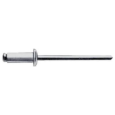 Gesipa 1454626 slepý nýt (Ø x d) 6 mm x 10 mm ocel ocel ocel 250 ks-0