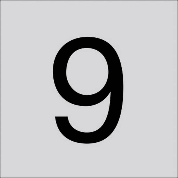 RZB 99221.013.9 Číslice „9" 60 mm 1 ks