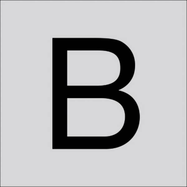 RZB 99221.013.B Písmeno „B“, velké, 60 mm 1 ks