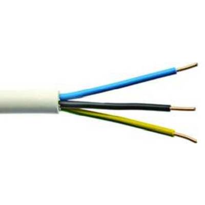 Bílý kabel se třemi vyčnívajícími vodiči: modrý, černý a žluto-zelený, typický pro elektroinstalace.
