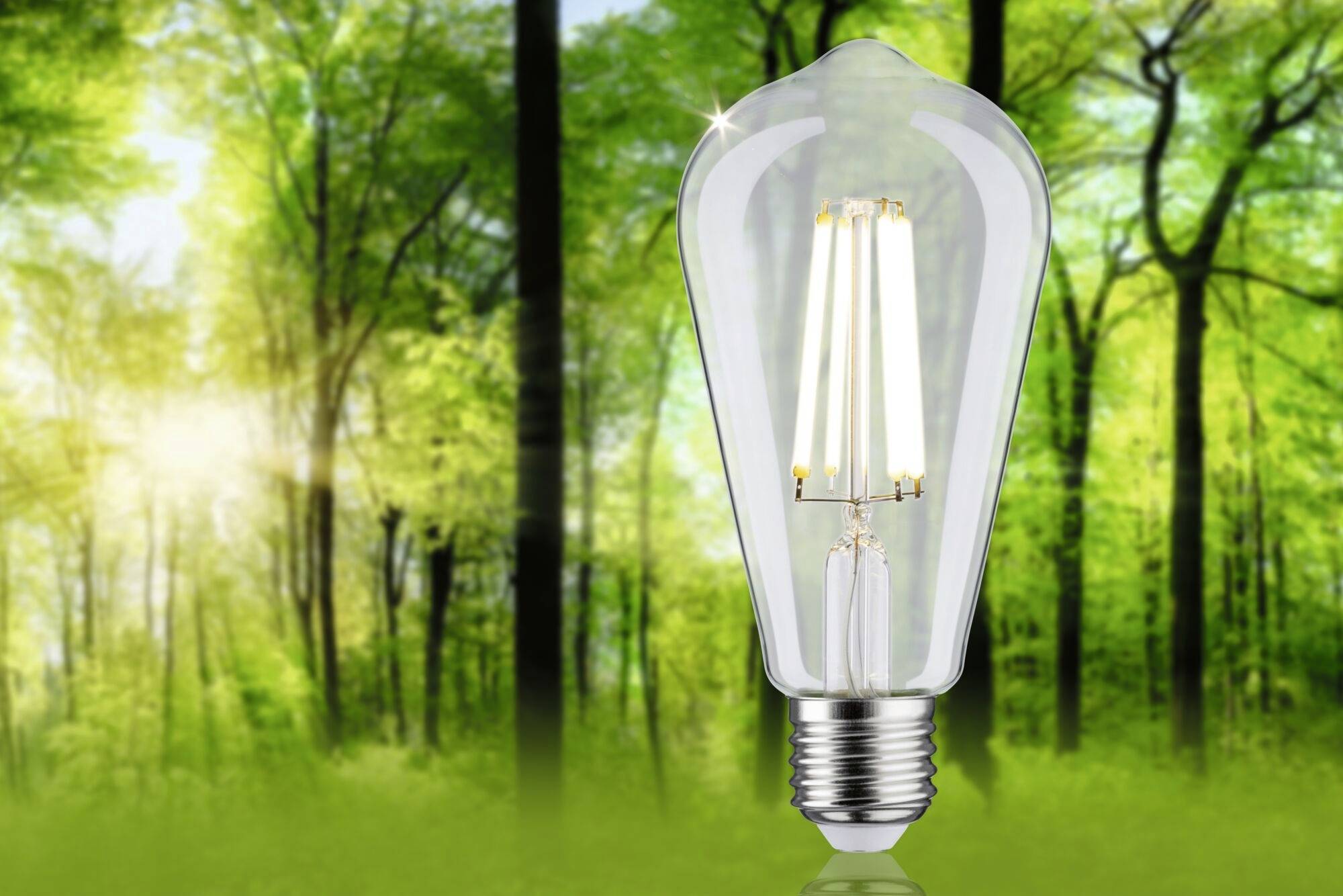 Žárovka stojí před pozadím slunečného lesa, což symbolizuje propojení mezi energií a přírodním prostředím.