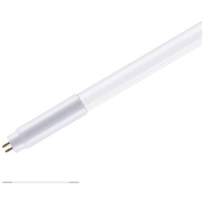 Bílá LED trubice se dvěma zlatými kolíky na spodní straně, zobrazená před bílým pozadím. Vhodná pro úsporné osvětlení.