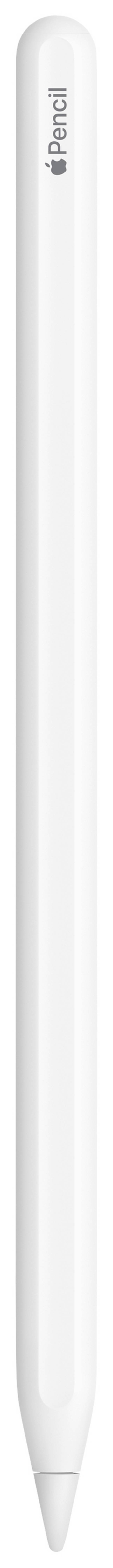 Apple Pencil (USB-C) dotykové pero  s přesným psacím hrotem bílá