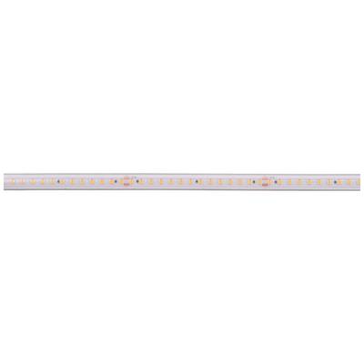 LED pásek v detailním záběru s pravidelně rozmístěnými žlutými LED diodami na bílém nosném pásku.