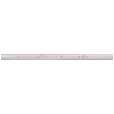 LED pásek s rovnoměrně rozmístěnými žlutými LED diodami na bílém pozadí, umístěný na úzké desce plošných spojů.