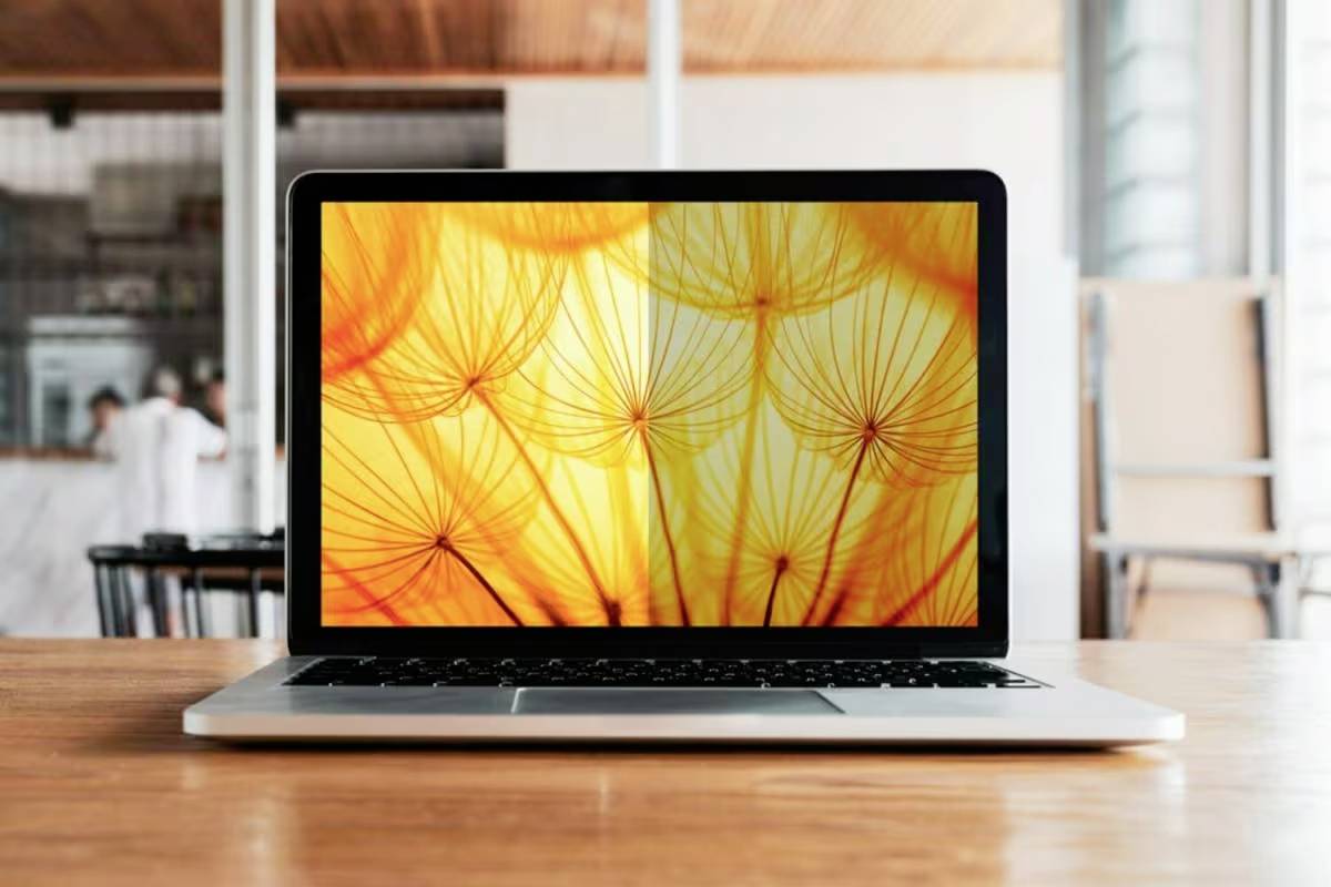 Notebook položené na stole zobrazuje tapetu s detailním pohledem na semínka pampelišky před světlým, slunečným pozadím.