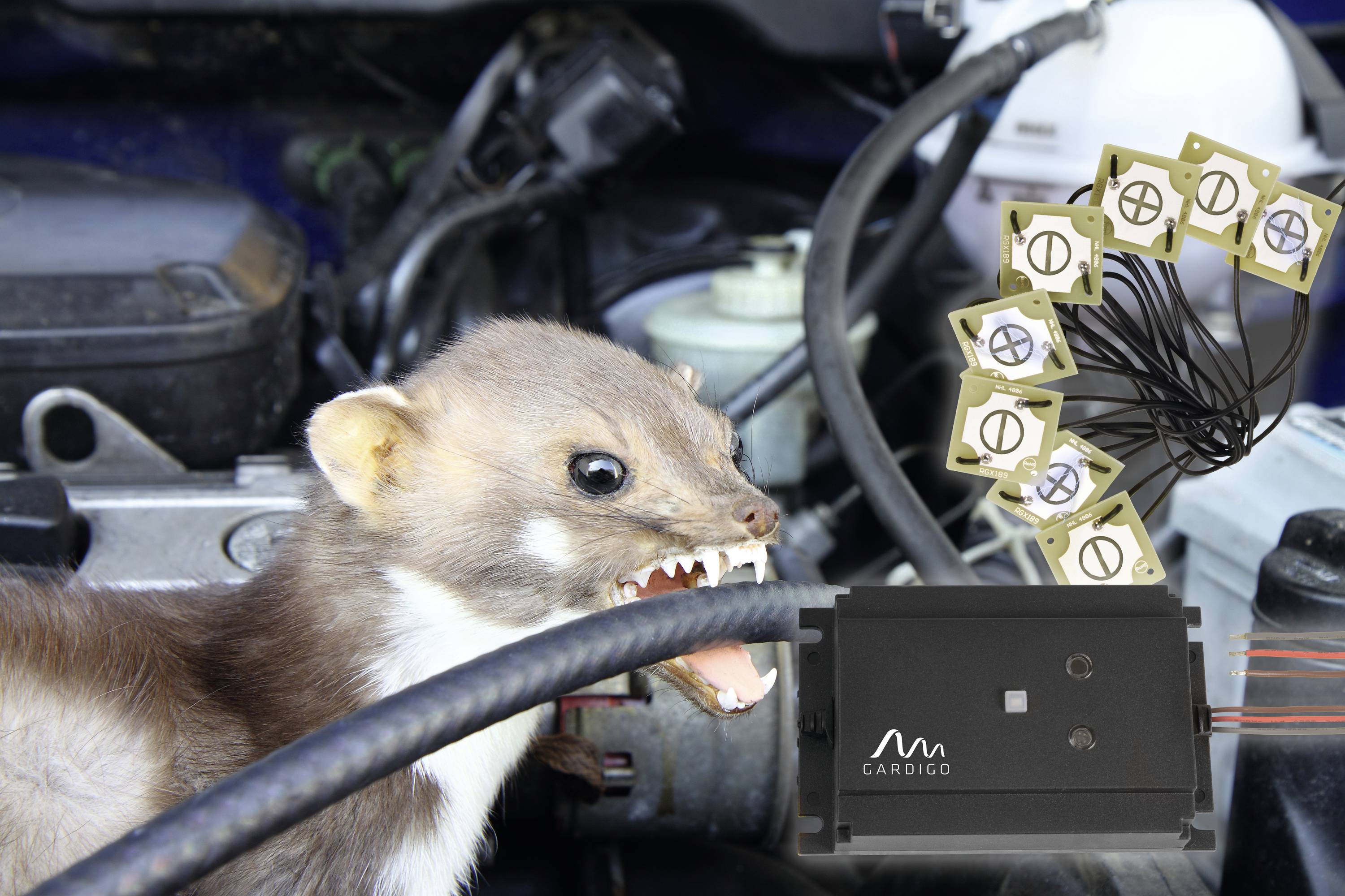 Kuna stojí s otevřenou tlamou a ostrými zuby před autodíly, vedle elektronického zařízení s několika malými senzory.