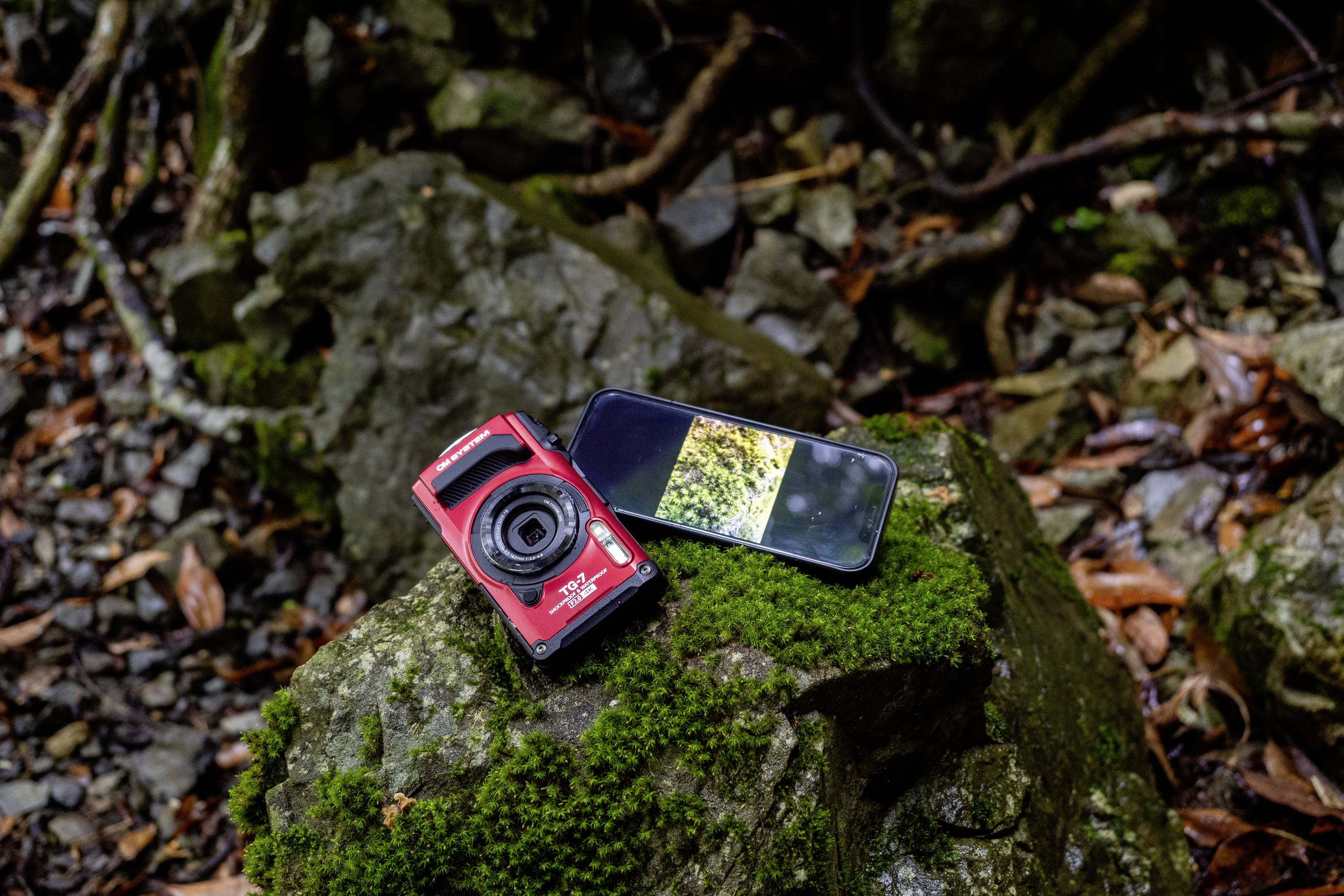 Červený fotoaparát a smartphone leží na mechem pokrytém kameni v lese. Smartphone zobrazuje fotografii lesní půdy.