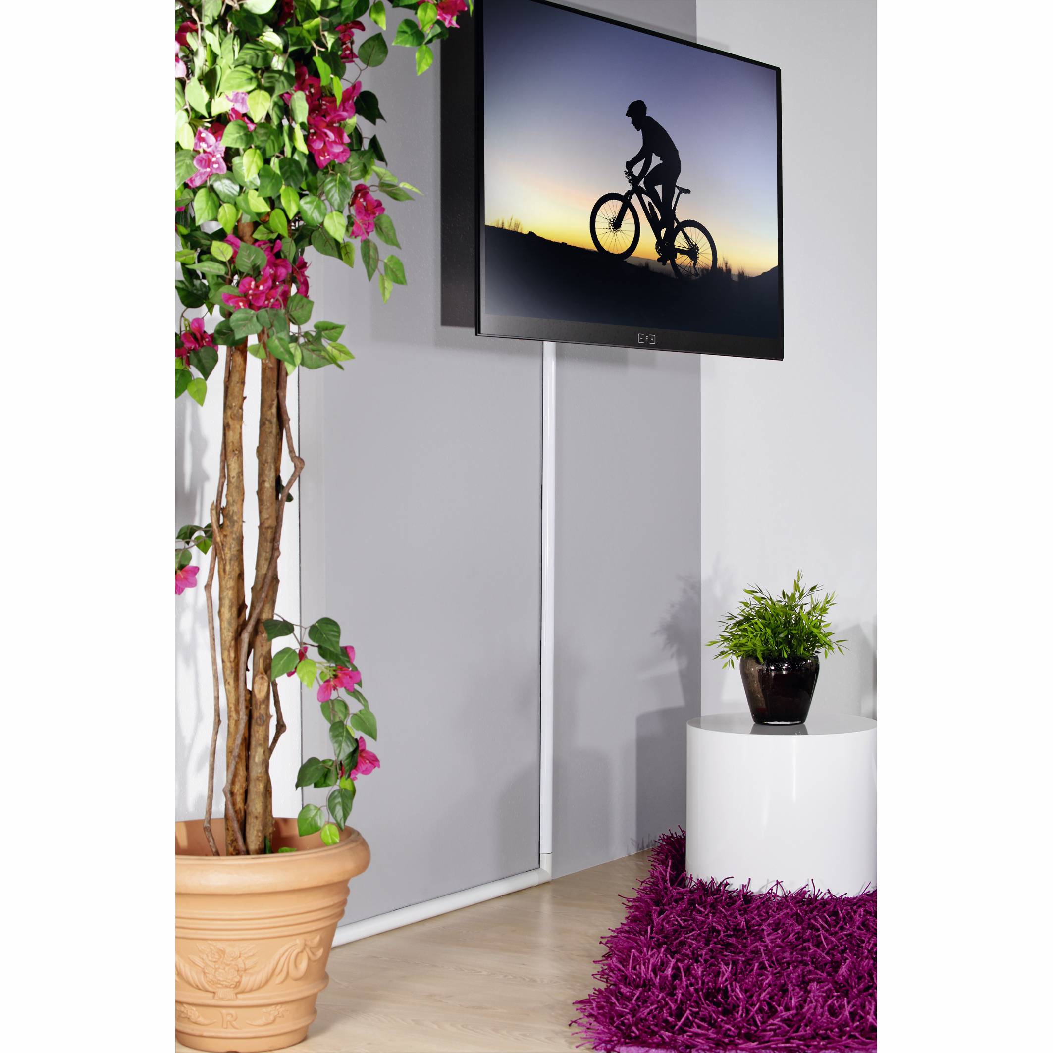 Televizor zobrazuje siluetu cyklisty při západu slunce. Vedle něj stojí rostlina v květináči a umělý strom.