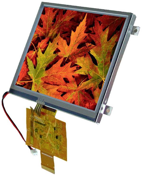 Display Elektronik grafický displej   bílá 320 x 240 Pixel (š x v x h) 141.12 x 101.55 x 8.0 mm
