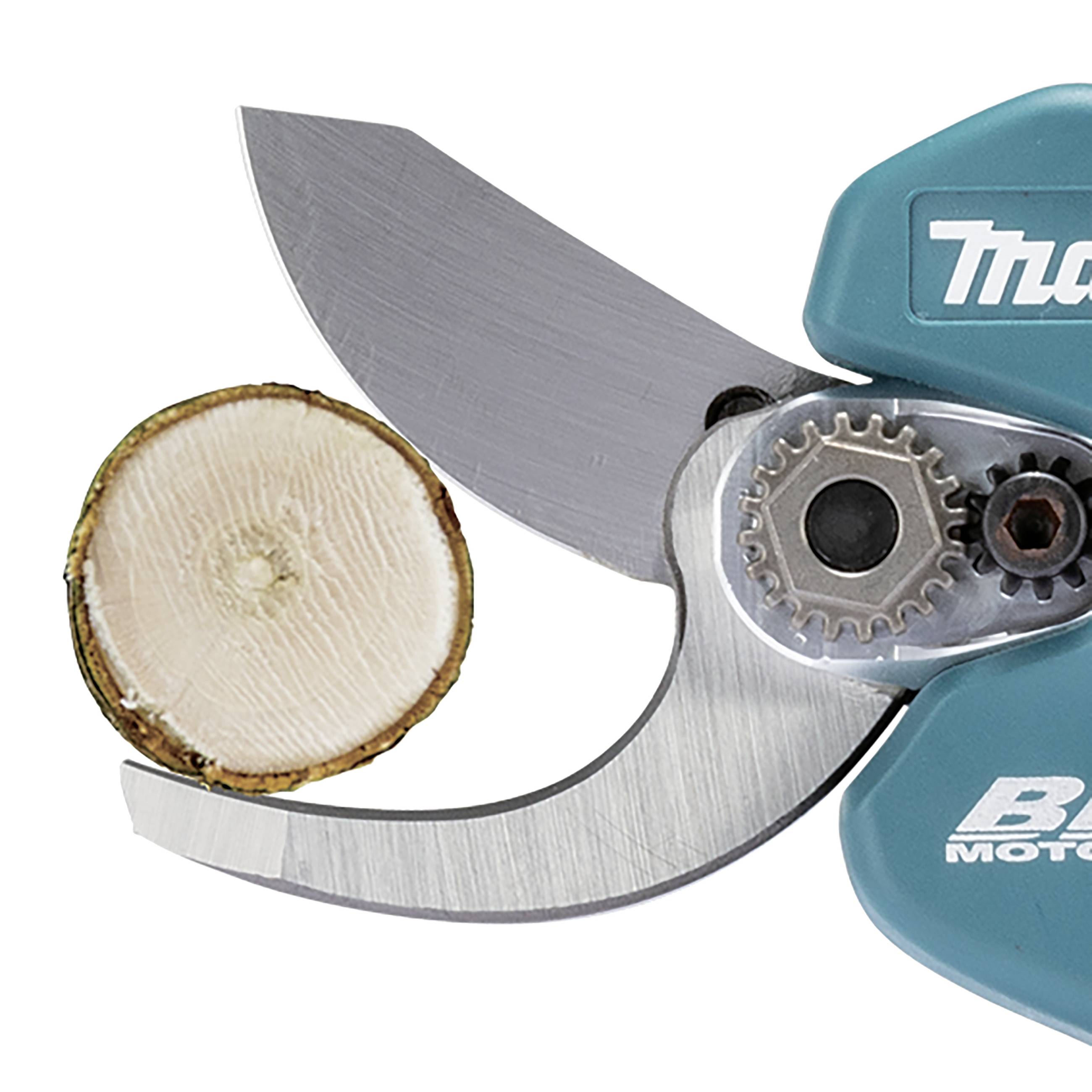 Zahradnické nůžky, které střihají větev. Detailní záběr ukazuje řeznou plochu větve a čepele nůžek v detailu.