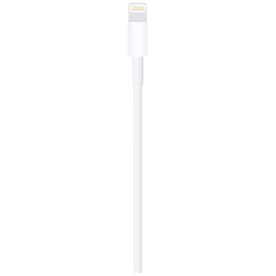 Bílý Lightning kabel, zobrazený vertikálně, ukazuje konektor nahoře.