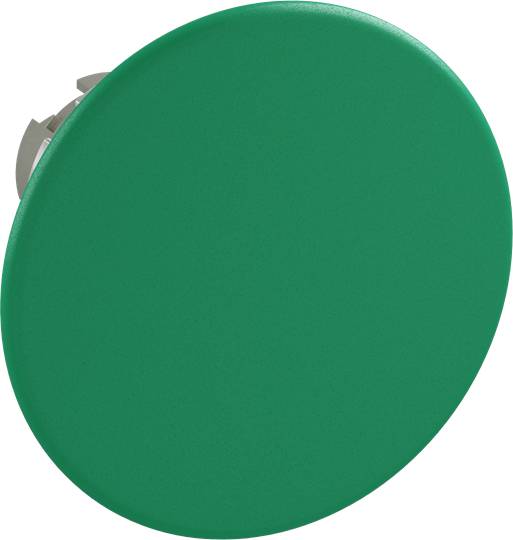 Velký, kulatý zelený knoflík před bílým pozadím.