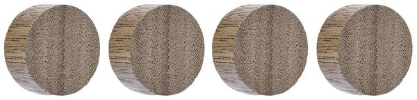 magnetoplan magnet Circle (Ø) 30 mm  vlašský ořech 4 ks 1665451