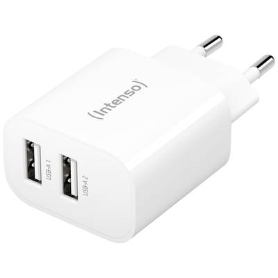 Bílá USB nabíječka se dvěma USB porty a evropským designem vidlice.