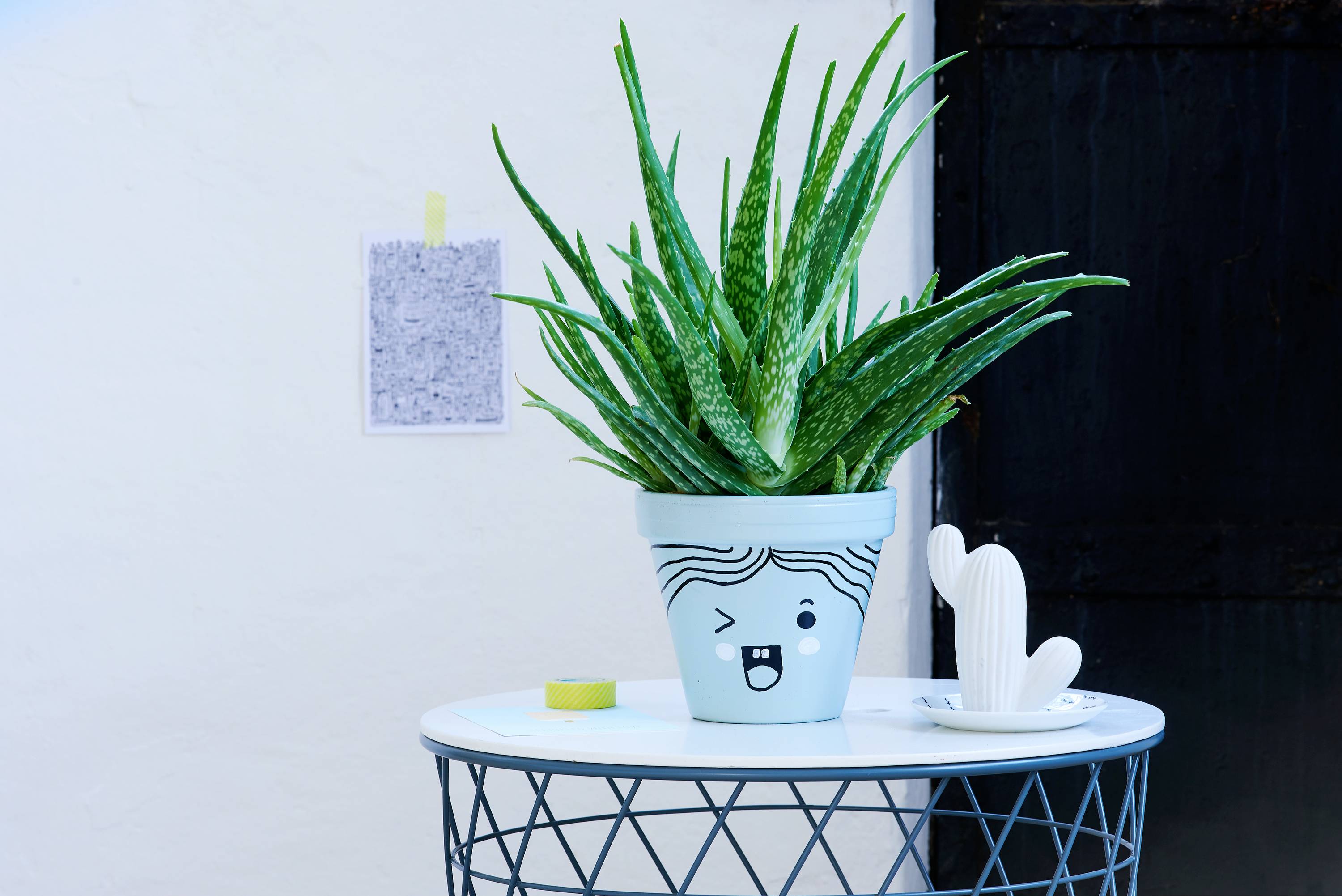Aloe vera rostlina v bíle zdobeném květináči na kulatém stole. Vedle malá kaktusová dekorace. Zeď v pozadí.