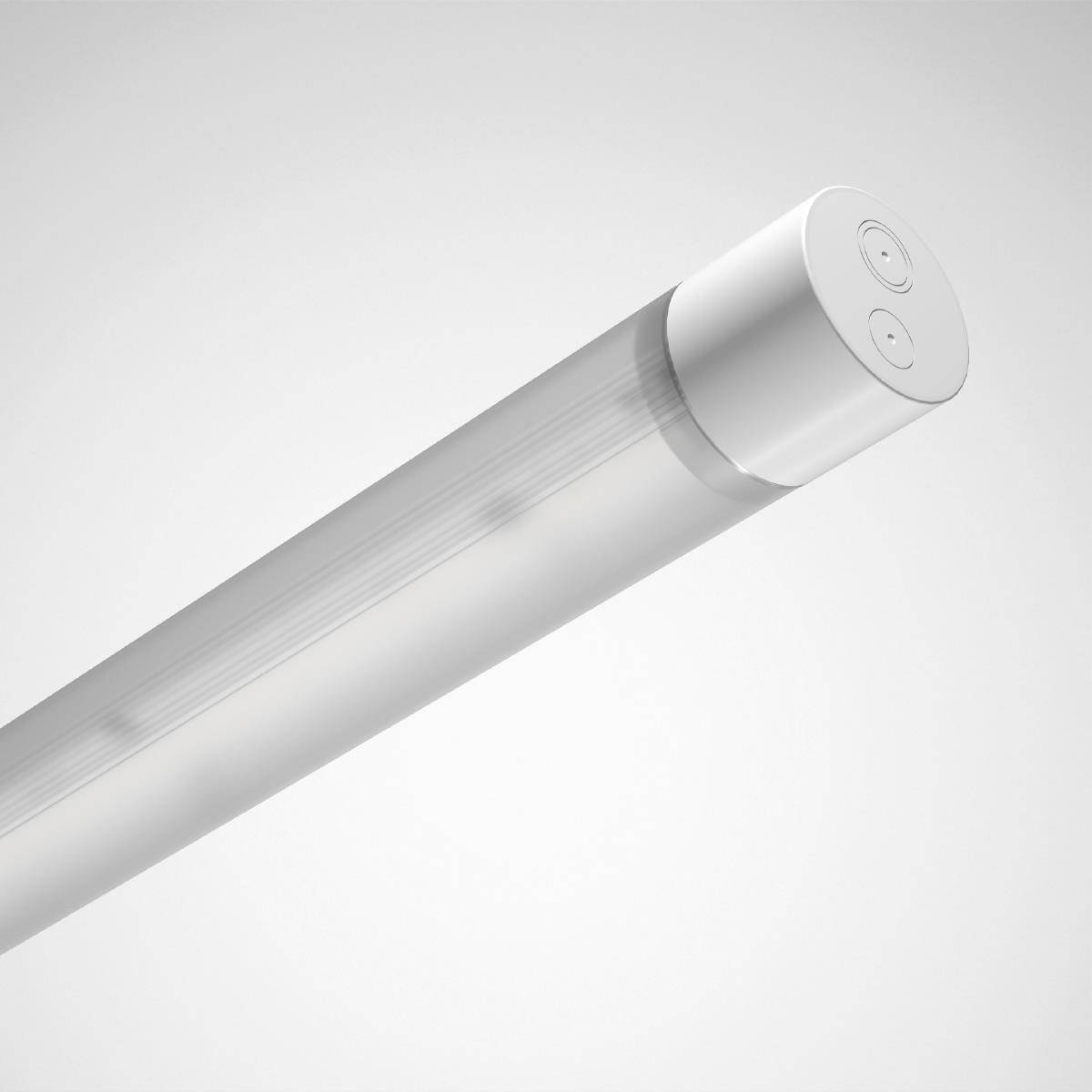 LED trubice v diagonálním pohledu s bílým plastovým pouzdrem a dvěma kovovými kontakty na jednom konci, před šedým pozadím.