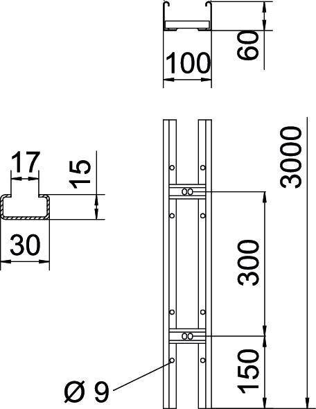 Technický výkres ocelového profilu. Rozměry: 3000 mm x 100 mm x 60 mm. Další detaily: 15 mm tloušťka, 17 mm ohyb, 30 mm šířka, Ø 9 mm.