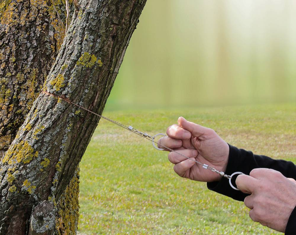 Jedna osoba řeže pilkou větev ze stromu. Pilka je obtočená kolem větve.