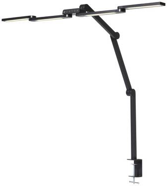 Renkforce  RF-6332582 LED lampička s klipem LED    černá