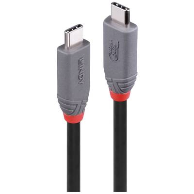 USB-C kabel se šedými konektory a červenými akcenty, určený pro připojení elektronických zařízení pro přenos dat a napájení.
