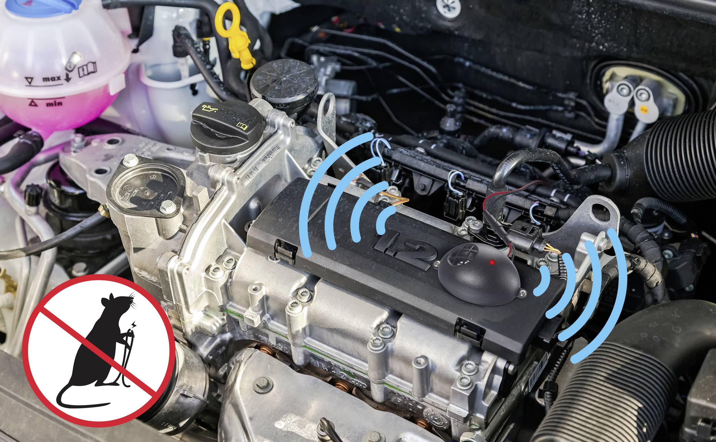 Příslušenství automobilu je zobrazeno v motorovém prostoru vozidla. Vlevo dole je vidět symbol proti kunám.