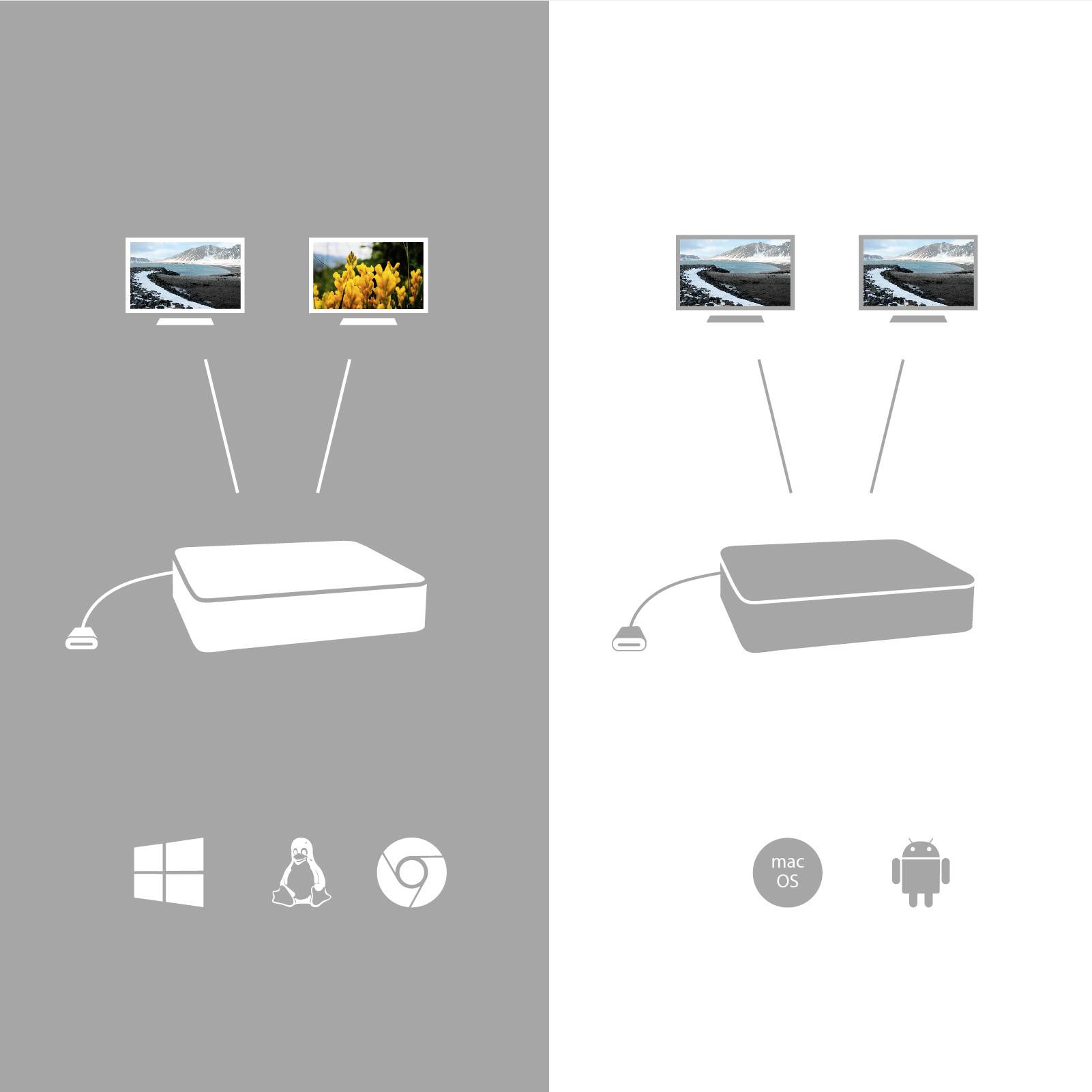 Šedý a bílý diagram zobrazuje dva monitory propojené zařízením, pod ním jsou symboly pro Windows, Linux, Chrome OS, macOS a Android.