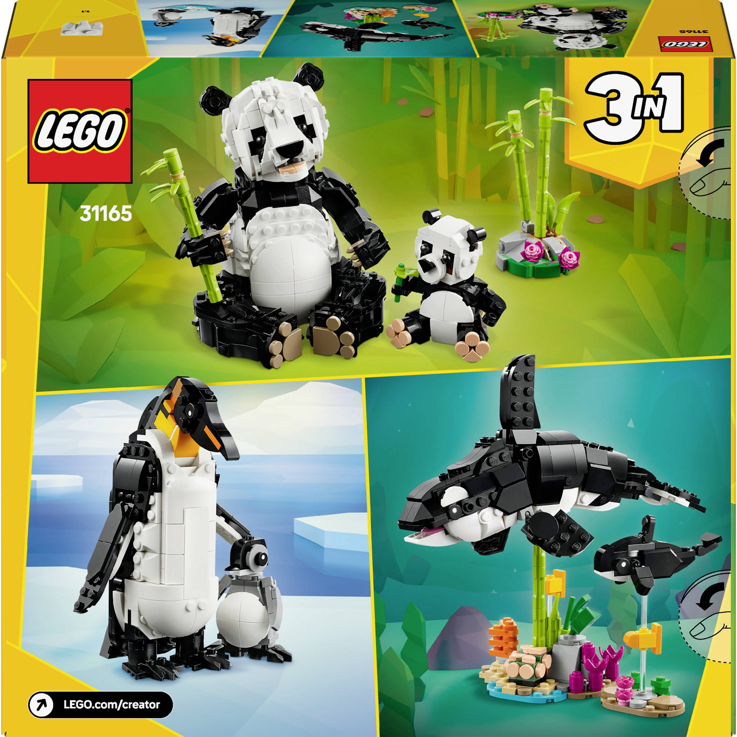 Obrázek LEGO sady ukazuje stavební možnosti: rodinu pandy, tučňáka s mládětem a kosatku s pozadím. Sada č. 31165, 3 v 1.