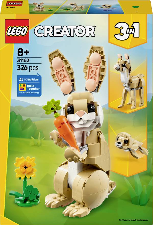 31162 LEGO® CREATOR Drcení