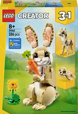 31162 LEGO® CREATOR Drcení
