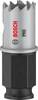 Bosch Accessories 2608594439 2608594439 vrtací korunka 19 mm silně legováno 1 ks