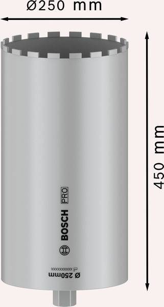 Vrtací nástroj na beton značky Bosch, průměr 250 mm, délka 450 mm, stříbrné barvy, s nápisem Pro, technický nákres.